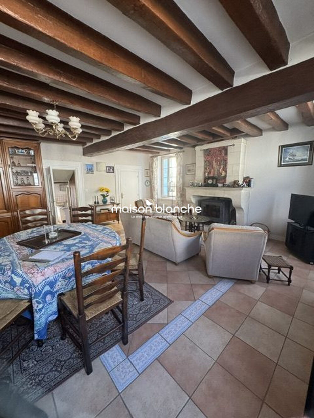 Vente Maison Maison de village avec Vue Loire Chouzé-sur-loire