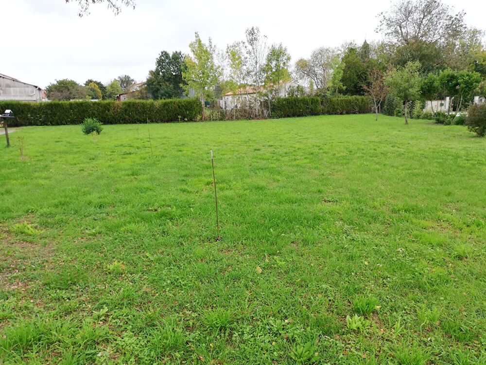   Terrain Marigny 800 m2 Marigny