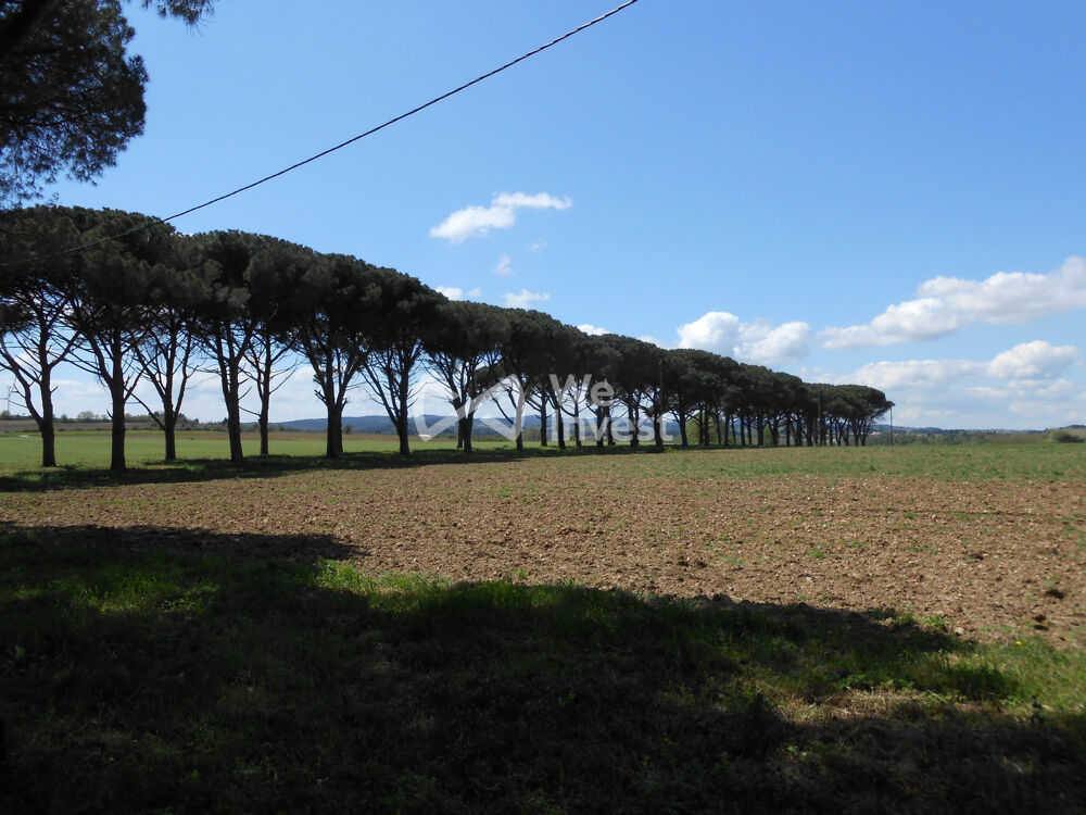 � vendre  Maison Cavanac (11570)