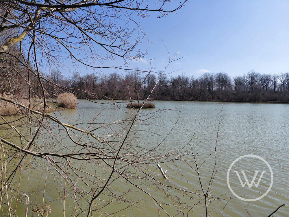 Vente Terrain VENTE ETANG DE 2 HECTARES Bossieu