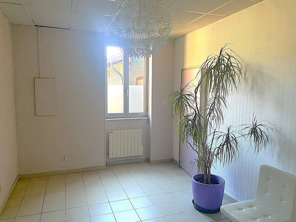   LOCAL PROFESSIONNEL IDEAL PROFESSION LIBERALE Villefranche-sur-saône