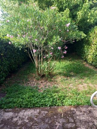  Maison � vendre 7 pi�ces 168 m�