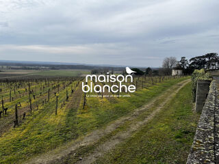  Proprit/chteau  vendre 13 pices 864 m