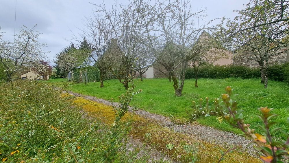 Batiment en pierre à rénover