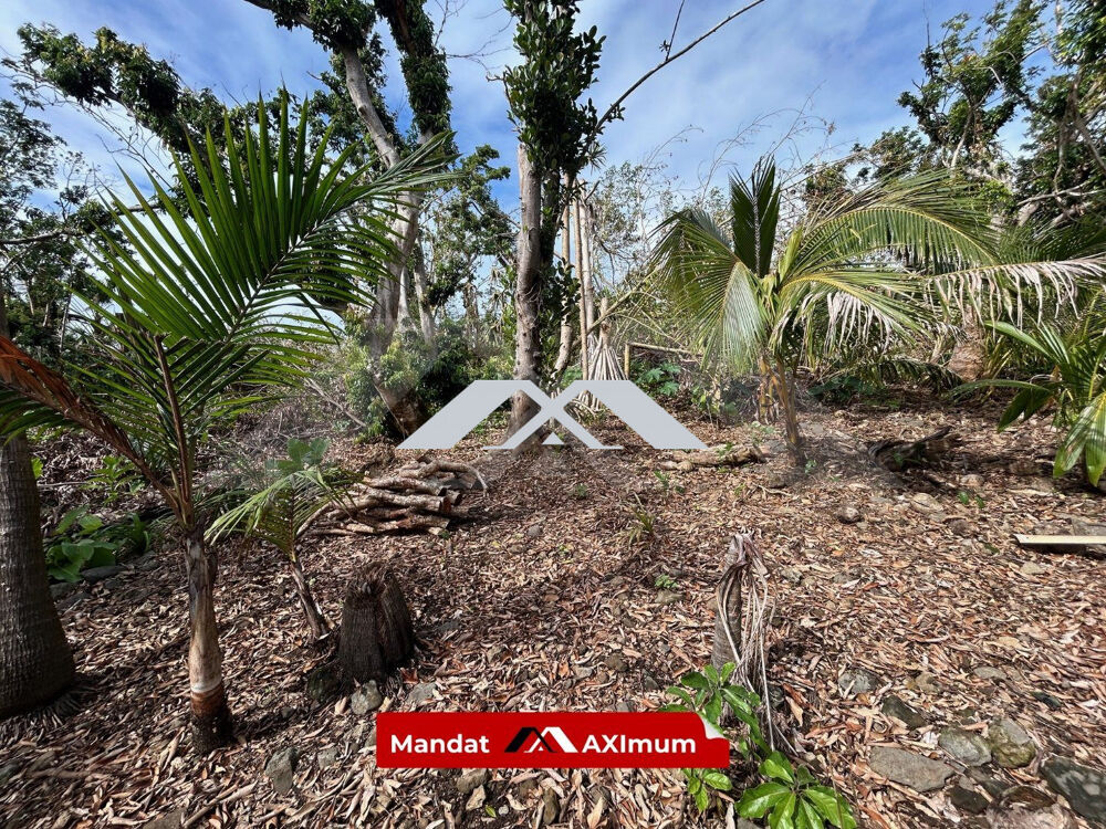 Vente Terrain Terrain 539 m² constructible Bourbier les Bas Saint-Benoît Saint-benoît
