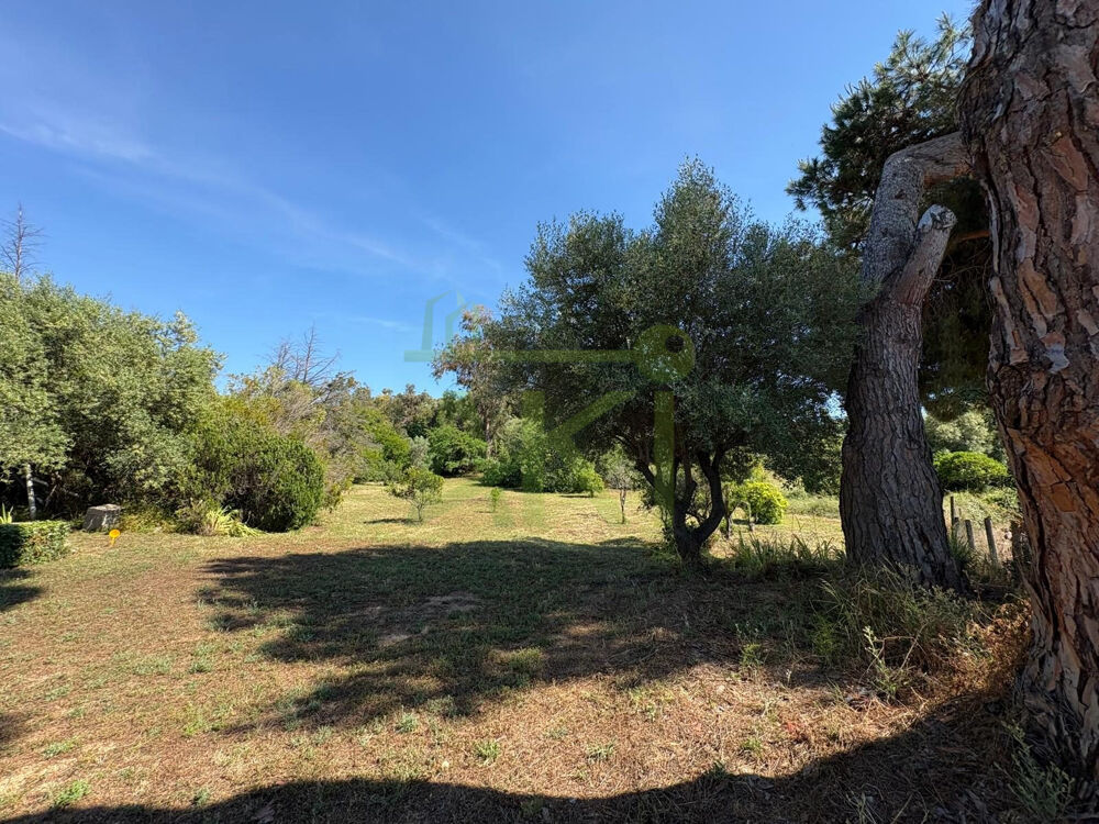 Vente Terrain Terrain constructible 1 226 m² – Libre constructeur Bastelicaccia