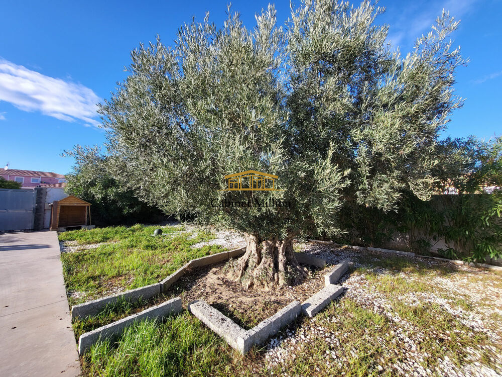 � vendre  Maison Vic-la-Gardiole (34110)