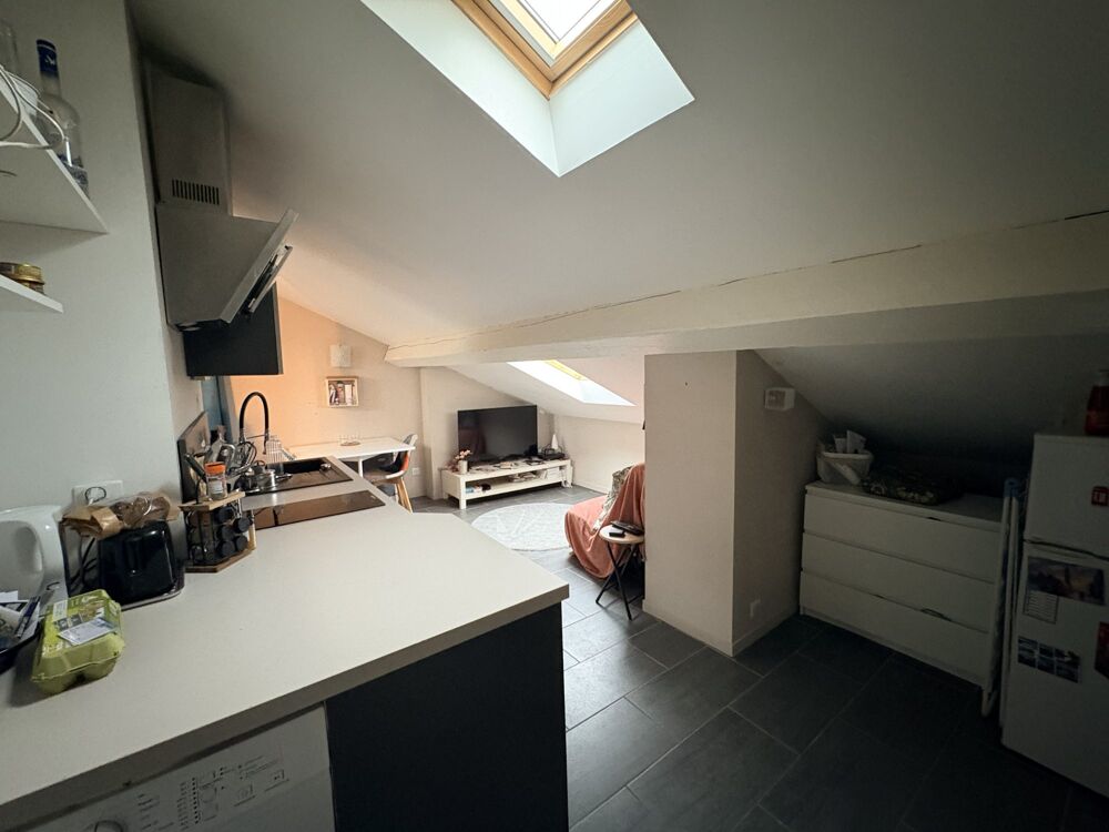 Vente Appartement COQUET STUDIO DERNIER ETAGE Lyon 7