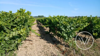  Terrain � vendre 91585 m�