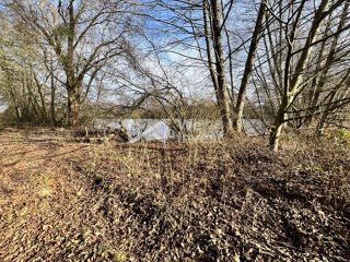  Terrain à vendre 11640 m²