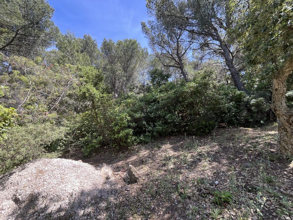 Vente Terrain Terrain en zone naturelle forêt Six-fours-les-plages