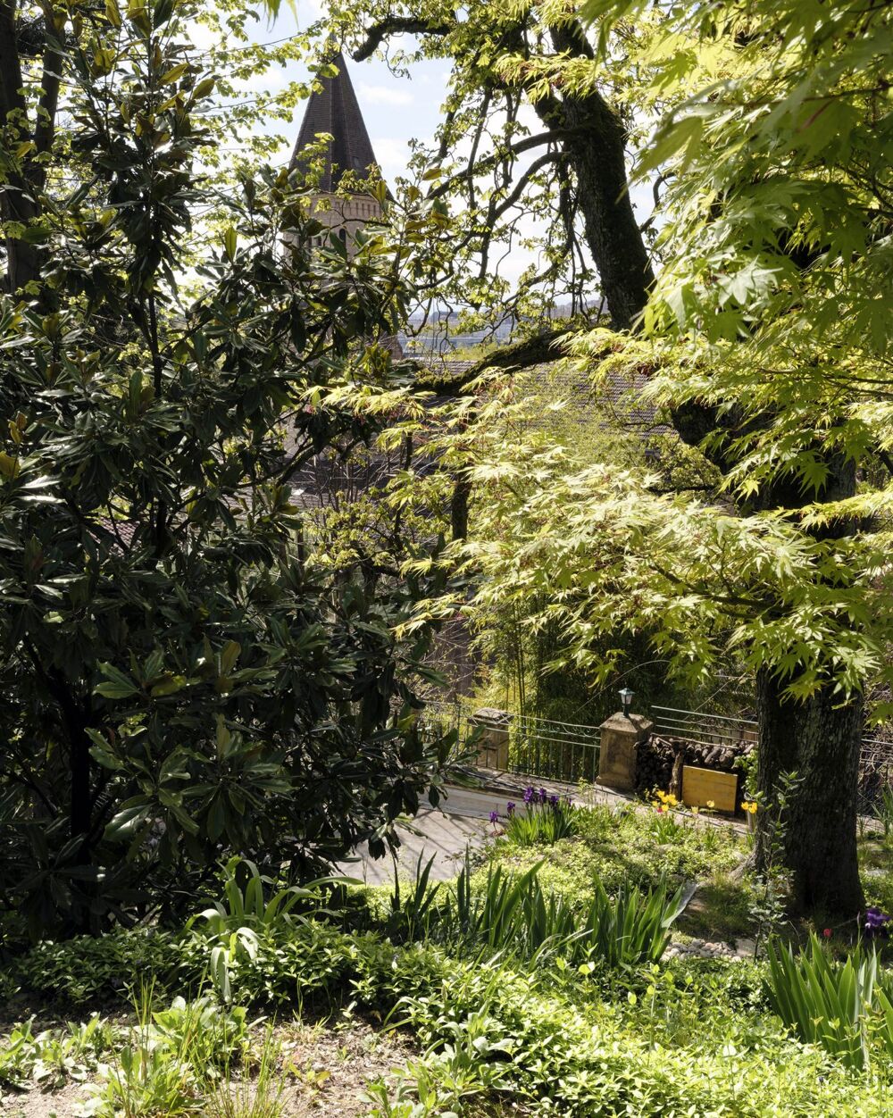 Vente Maison Maison 1870 de 202m2 dans un cadre exceptionnel Caluire-et-cuire