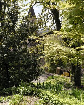Vente Maison Maison 1870 de 202m2 dans un cadre exceptionnel Caluire-et-cuire