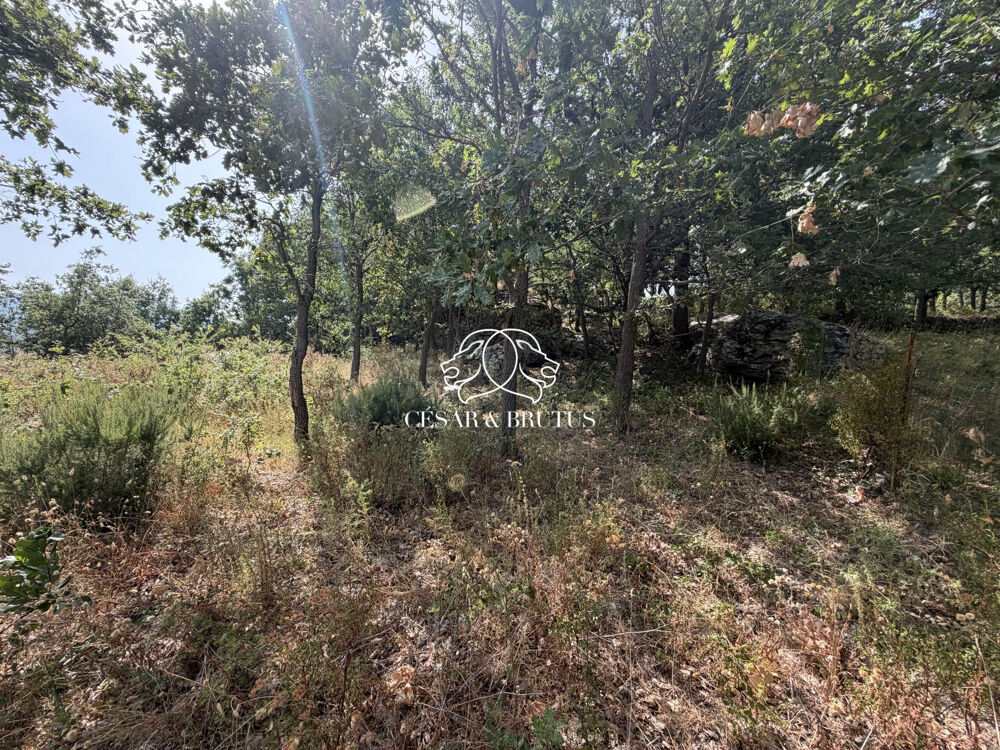 Vente Terrain TERRAIN CONSTRUCTIBLE A MURATO Murato