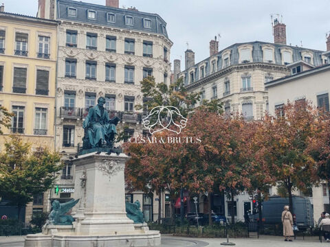 Murs commerciaux &agrave; vendre -LYON 02 AMEPRE 218400 69002 Lyon