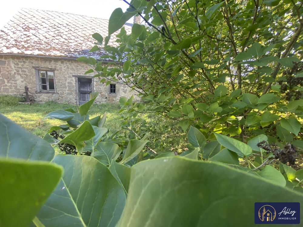 Vente Maison Ancien four  pain Sarroux - saint julien