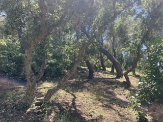  Terrain � vendre 8590 m�