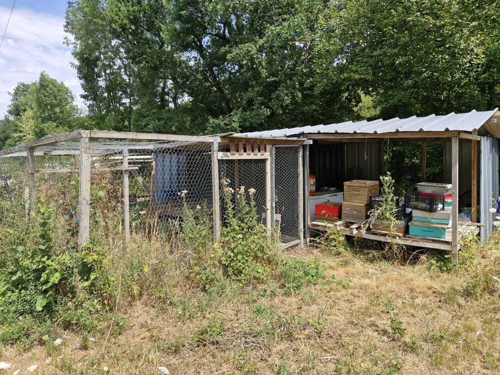 Vente Terrain Terrain à usage naturel-loisir à VERNEUIL-SUR-VIENNE ! Verneuil-sur-vienne