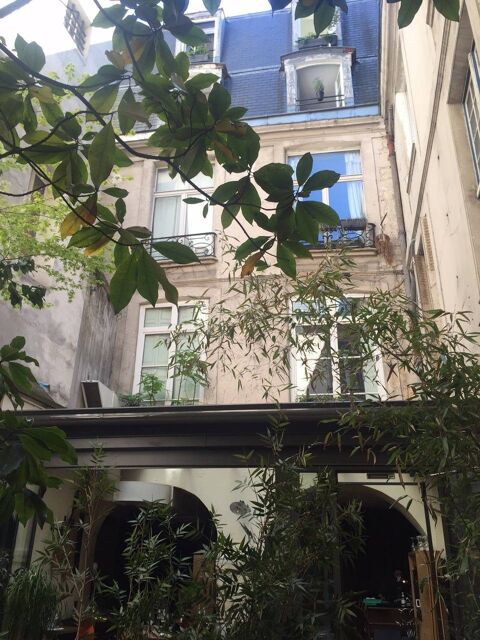   Appartement atypique ultra centre ville Appartement - 2 pi�ce(s) - 61 m�