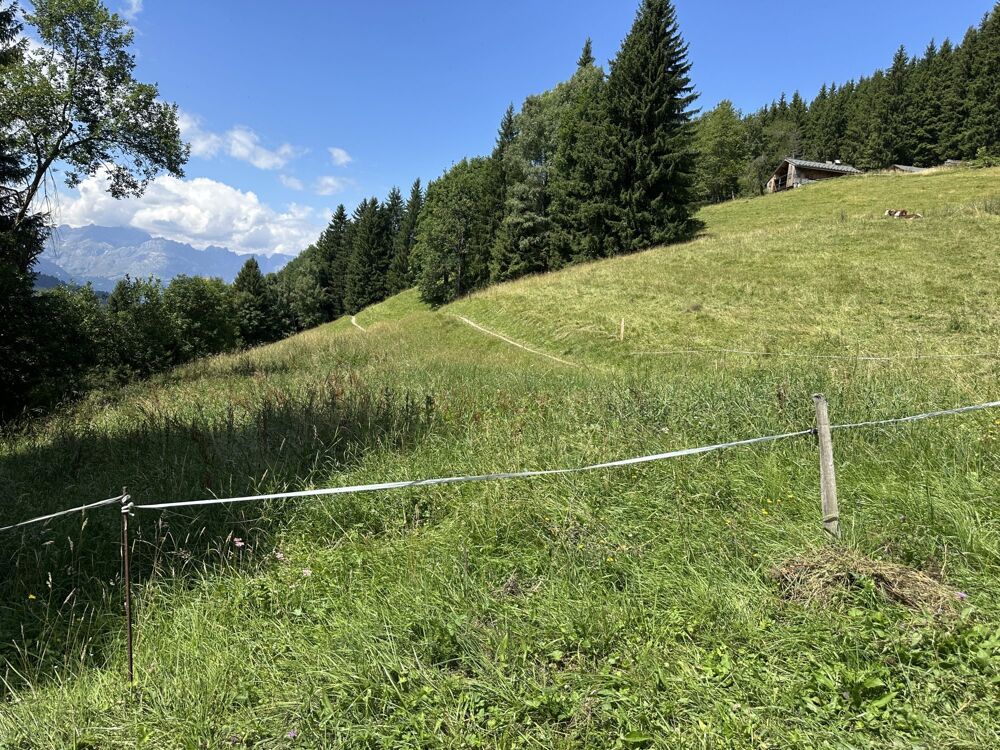 Vente Maison Authentique ferme d'alpage Saint-Gervais Saint-gervais-les-bains