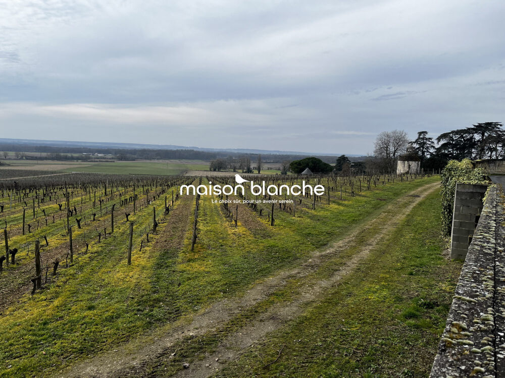 Château Historique d'Exception avec Domaine Viticole