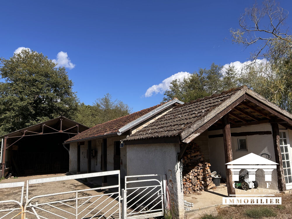 Vente Maison FERME BRESSANE – 164 m² – 1 HA – PISCINE + REVENU LOCATIF L'abergement-sainte-colombe