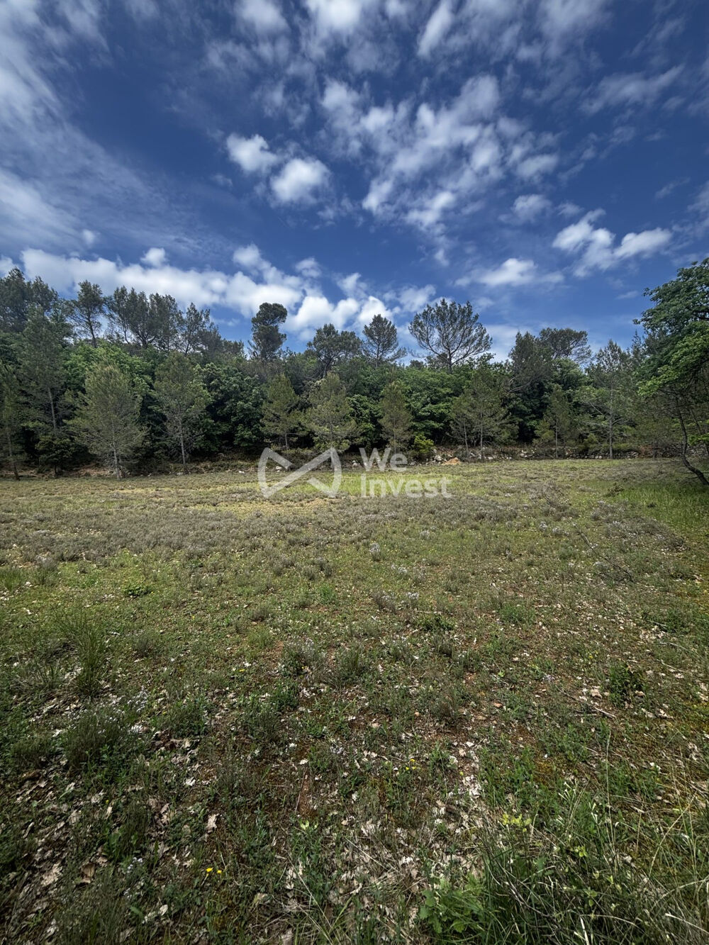 Vente Terrain Terrain à vendre Tourves Tourves