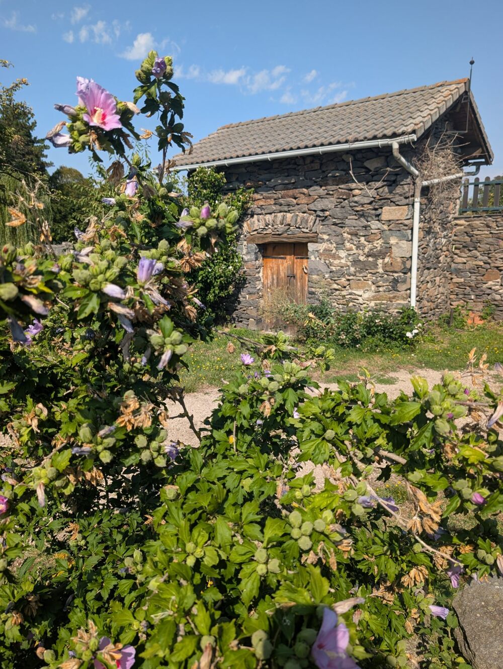 Vente Maison Maison de caractère avec dépendances Saint-julien-du-pinet