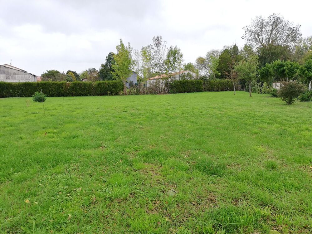 Vente Terrain Terrain Marigny 800 m2 Marigny