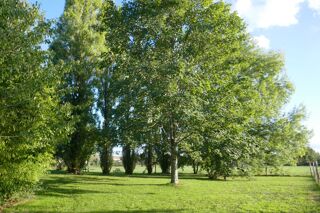  Maison � vendre 11 pi�ces 287 m�