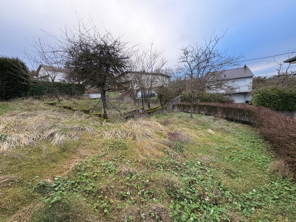 Vente Terrain TERRAIN CONSTRUCTIBLE Marange-silvange