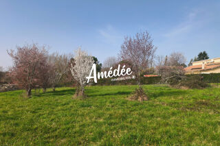  Terrain � vendre 11647 m�