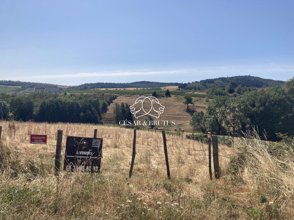   Terrain agricole 