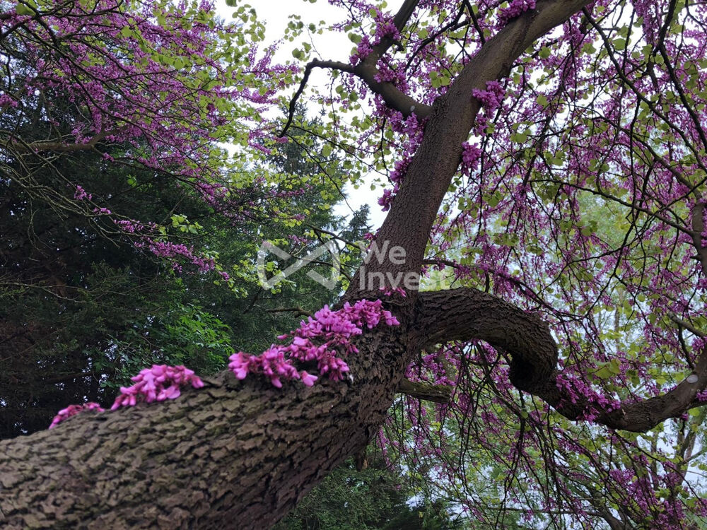 � vendre  Maison Meaux (77100)