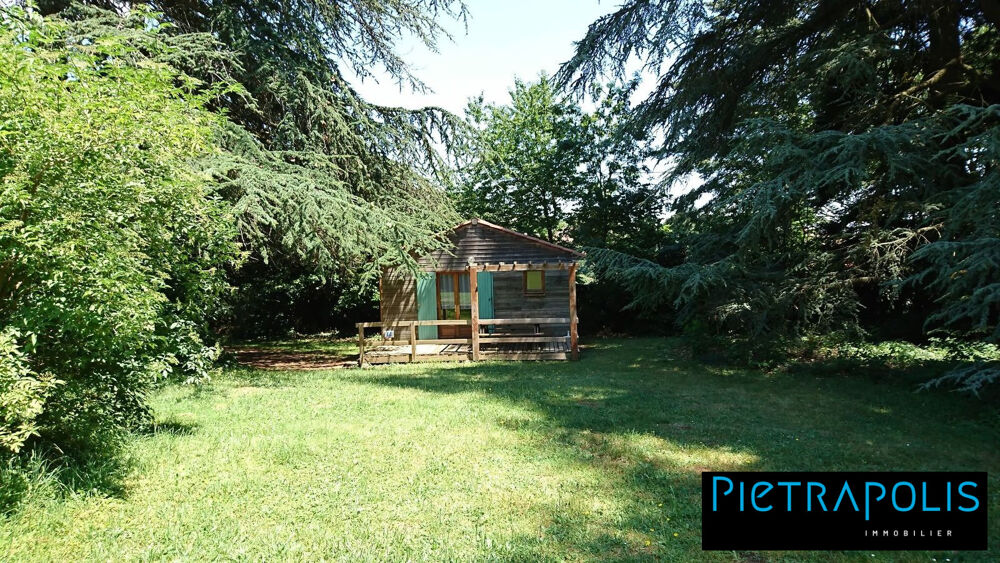  vendre  Proprit/chteau Saint-Julien-Molin-Molette (42220)