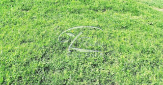  Terrain � vendre 433 m�