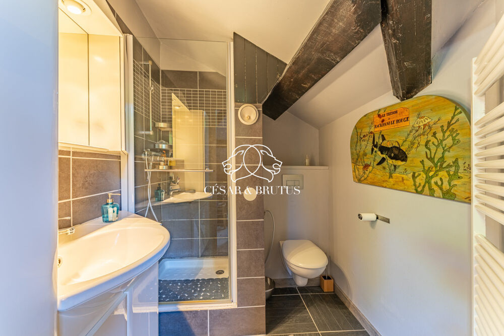 à vendre  Appartement Vernaison (69390)