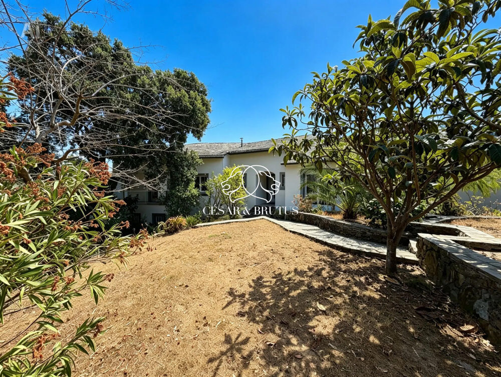 à vendre  Maison Biguglia (20620)