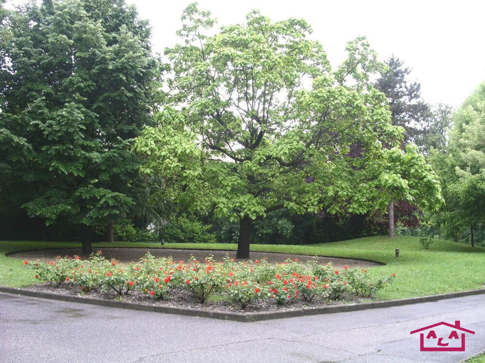 Location Appartement GRENOBLE SECTEUR CLEMENCEAU Grenoble