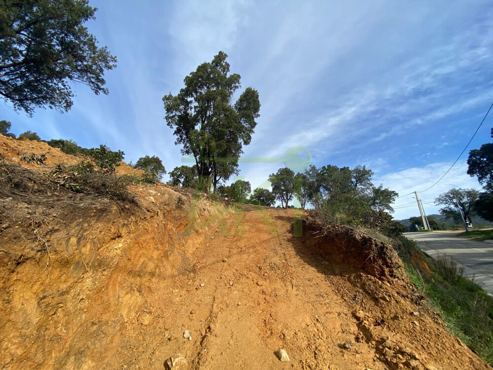 Vente Terrain TERRAIN A BATIR LIBRE CONSTRUCTEUR Tavaco