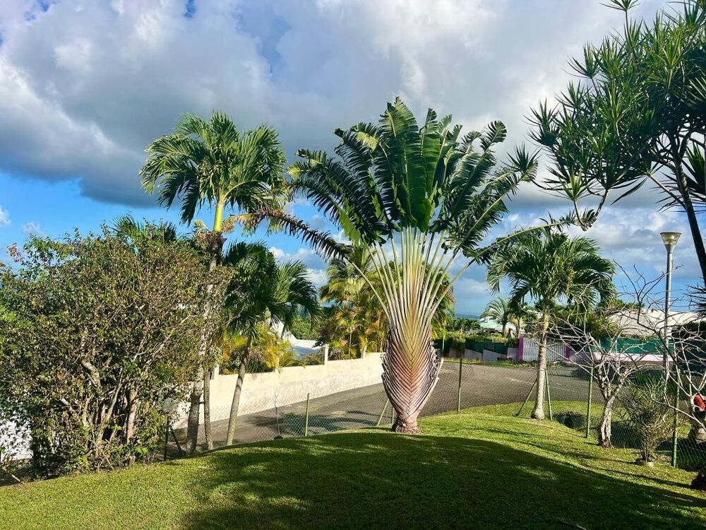 � vendre  Maison Sainte-Rose (97115)