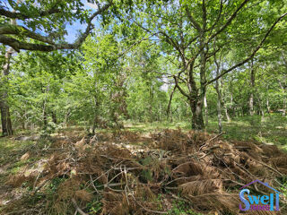  Terrain à vendre 1600 m²