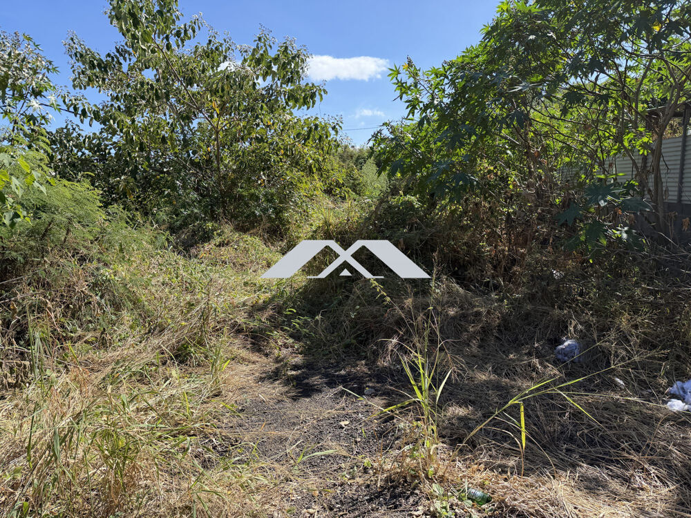 Vente Terrain Belle parcelle de terrain raccordable au TAE Saint-leu