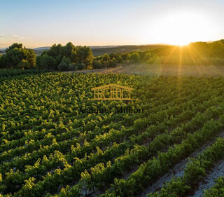  Terrain � vendre 110000 m�