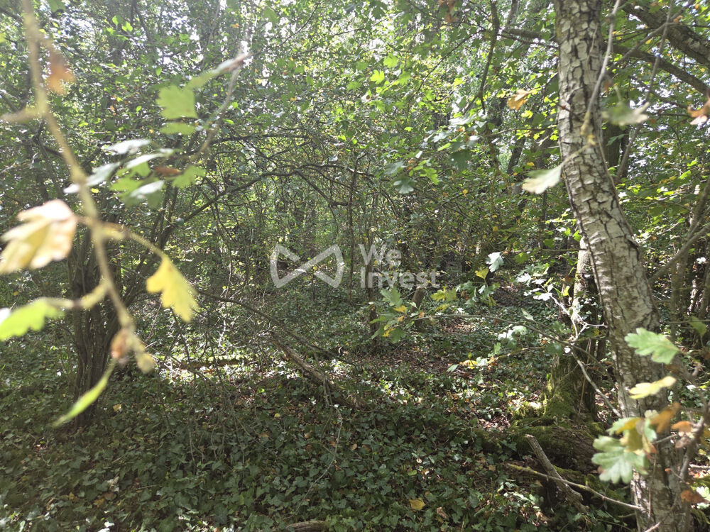Vente Terrain bois Charny-sur-meuse