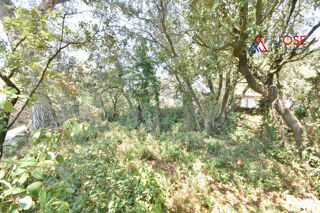  Terrain � vendre 2500 m�