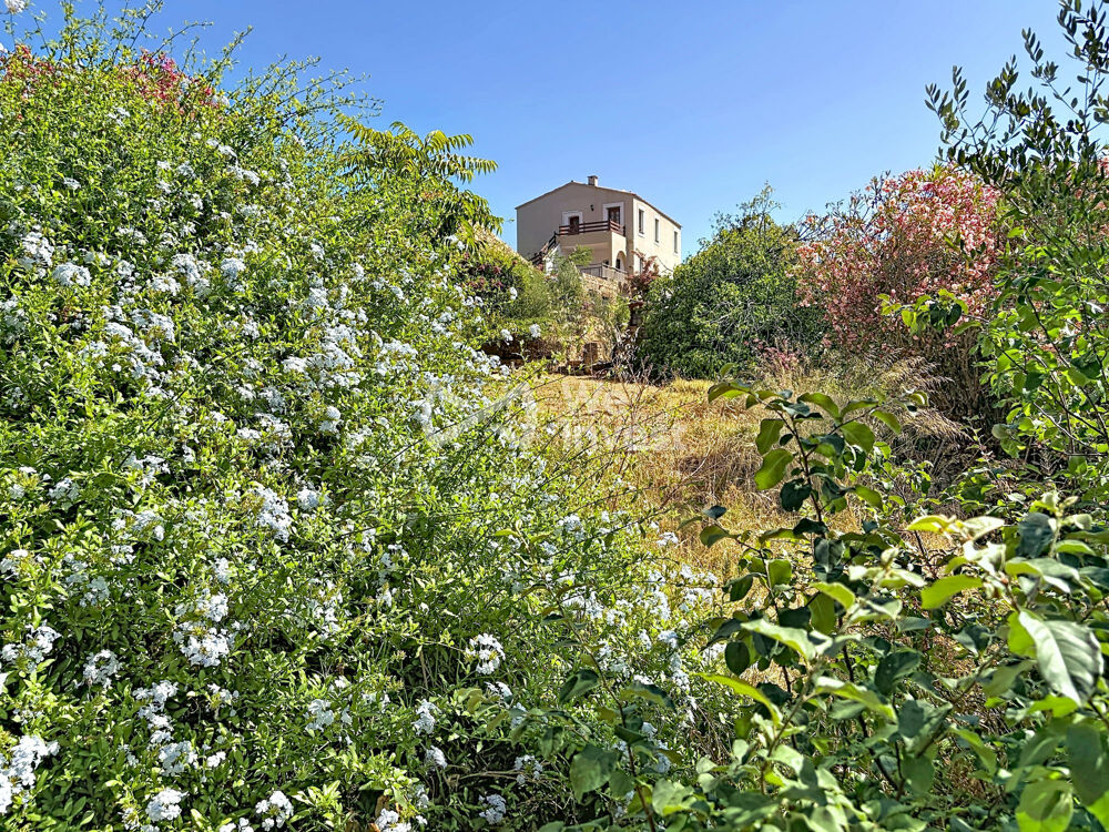 à vendre  Maison Calvi (20260)