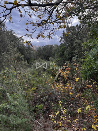  Terrain � vendre 33565 m�