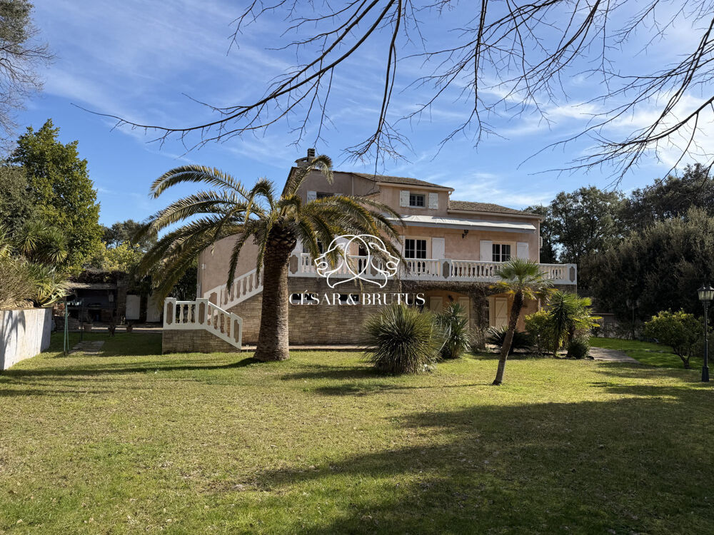 à vendre  Maison Borgo (20290)