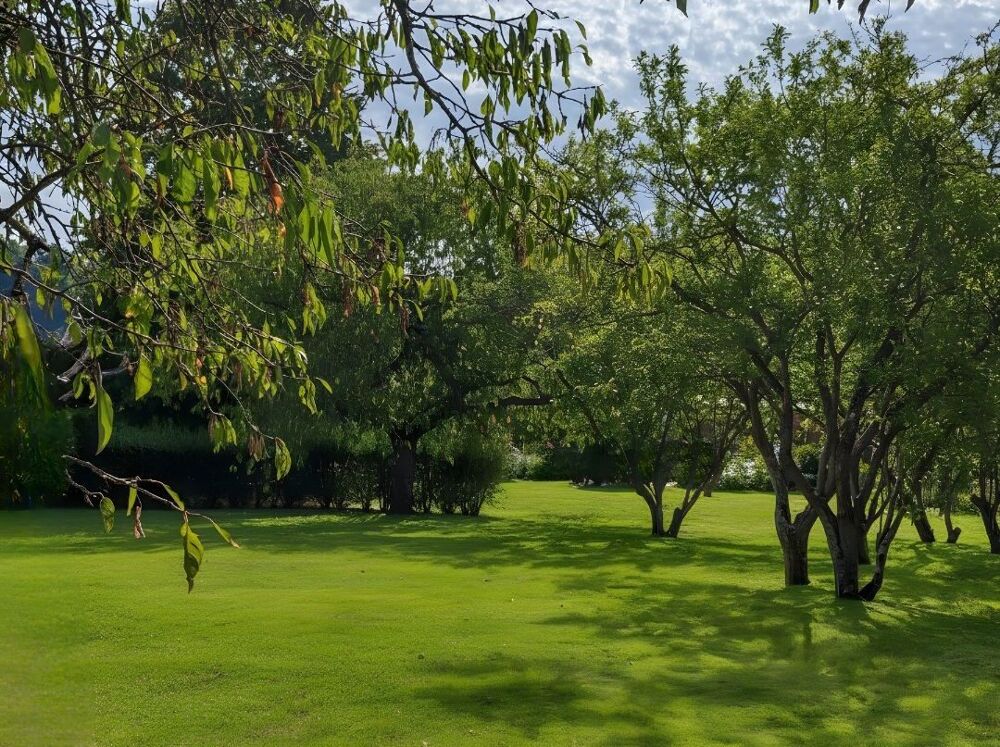 Vente Terrain Terrain a batir Vernou-sur-brenne